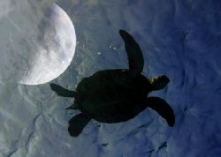 Going through a Moon phase...comp. by Glenn Poulain 